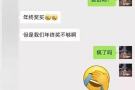 宏伟专业讨债公司有哪些核心服务？