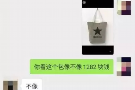 宏伟宏伟专业催债公司的催债流程和方法